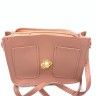 ТPocketsУ bag pink, with gold clasp and long handle. TA - 320.