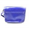 Bag ТGolden BearУ blue, complete with long handle. TA - 323.