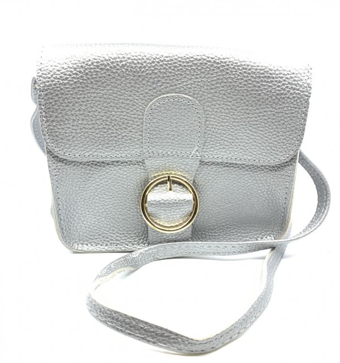 Bag with gold buckle, silver, complete with long handle.TA - 325.