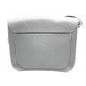 Bag with gold buckle, gray, complete with long handle. AT - 325.